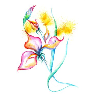 suluboya çiçek - pembe iris, sıçramalarına, damla kağıt ya da tuval - vektör çizim