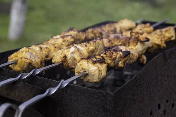 Domowy Шаслік Otwarty Ogień Shish Kebaby Smaży Się Grillu — Zdjęcie stockowe