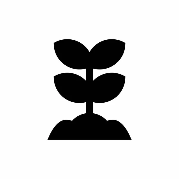 Травяные Иконки Растений Стиле Глифа — стоковый вектор