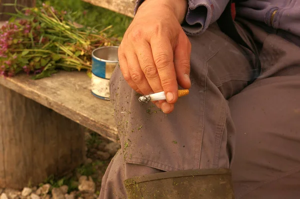 บุหรี่ที่ทําด้วยมือถืออยู่ในมือของผู้ชาย มือคนชนบทสูบบุหรี่ม้วนบุหรี่ . — ภาพถ่ายสต็อก