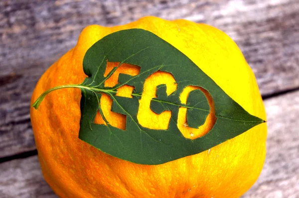 Eco ord på ett grönt blad placeras på en organisk gul pumpa. Fall skörd av eko grönsaker tema. — Stockfoto