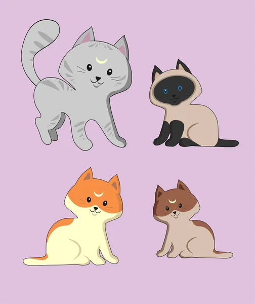 Set Four Cute Cats Different Breeds — Stock Vector