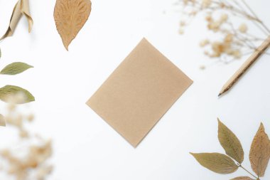 Noel ve kutlama mevsimi konsepti için tebrik kartları fikirleri. Beyaz arka planda kurumuş çiçek dalları ve boş kahverengi kartlar.