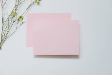 Beyaz arka planda boş pembe pastel davetiye kartlarının üst görüntüsü Noel ve kutlama sezonu konsepti için tebrik kartları fikirleri.