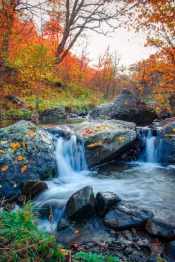 hızlı dağ nehir Güz. Derma ahşap arka plan