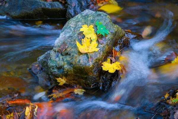 Rápido Rio Montanha Outono Fundo Madeira Colorida — Fotografia de Stock