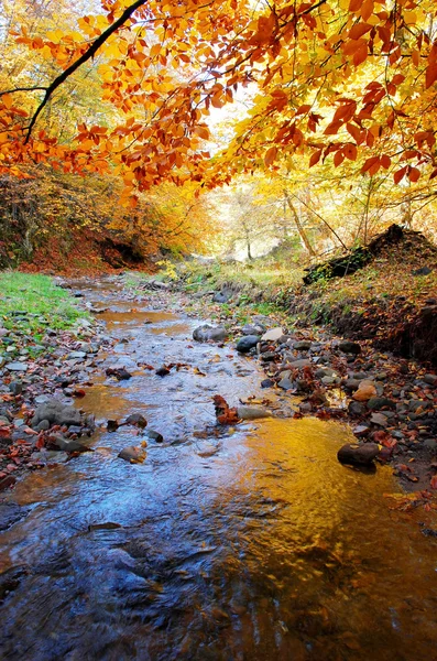 Schöner Herbst — Stockfoto