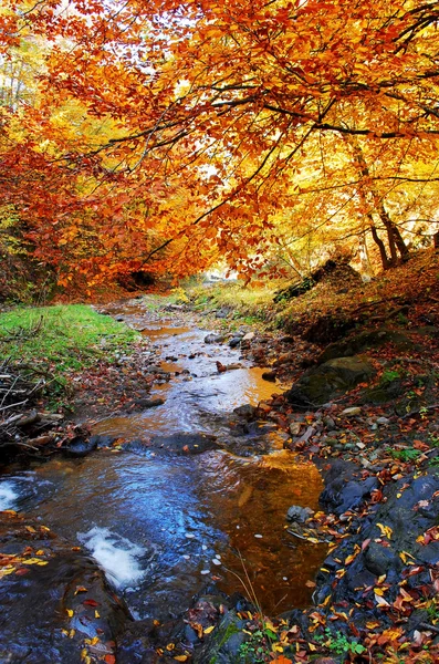 Schöner Herbst — Stockfoto