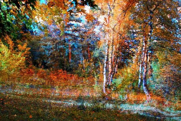 Abstrakt hösten skogen — Stockfoto