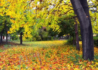 sonbahar Parkı
