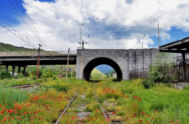 Ermenistan'da terk edilmiş tren kırmızı haşhaş kaplı