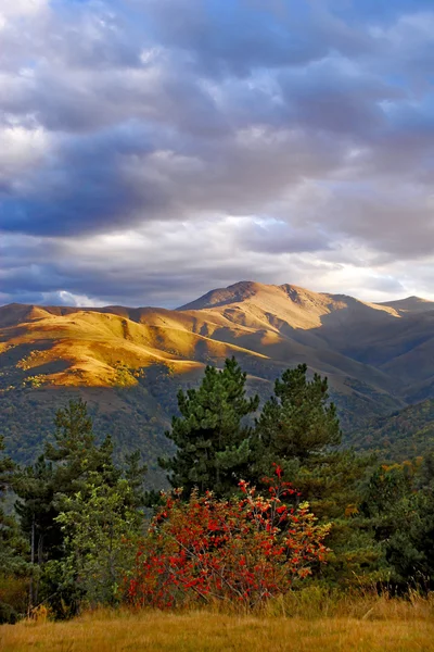 El paisaje de otoño de montaña con bosque colorido — Foto de Stock