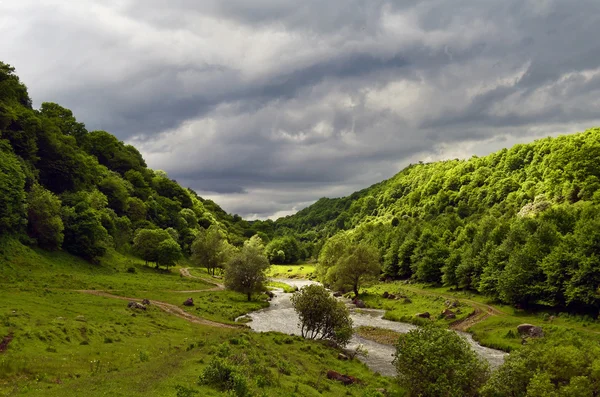 Beautiful green forest and river — Stock Photo, Image