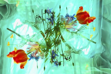 soyut çiçek arka plan