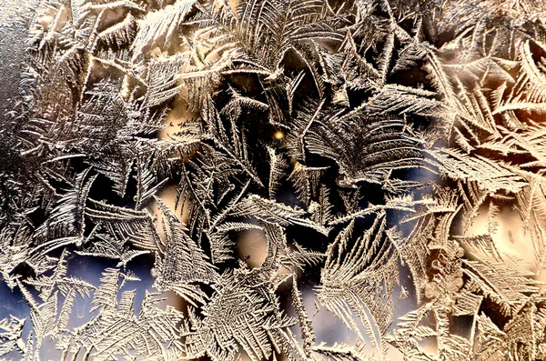 Målade skönheten i frost — Stockfoto