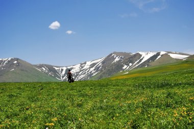Ermenistan dağlarda bahar
