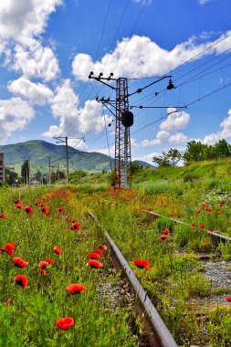 terk edilmiş tren