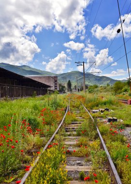 terk edilmiş tren