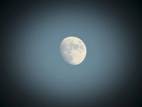 The moon — Stock Photo, Image