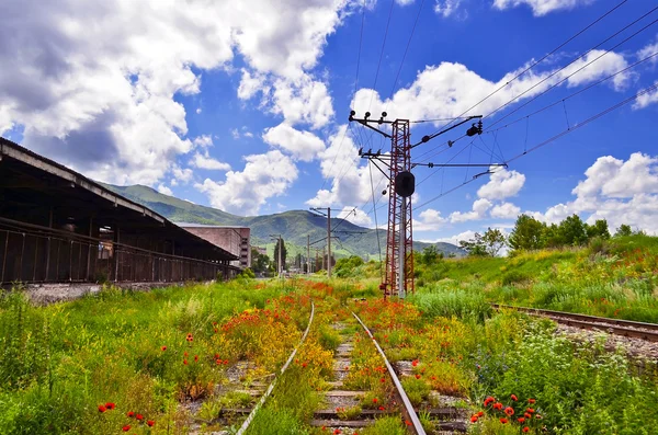 Abandoned railroad — Stock Photo, Image
