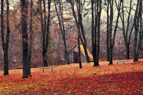 Herbstpark — Stockfoto