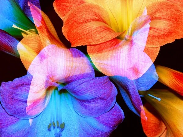 soyut çiçek arka plan