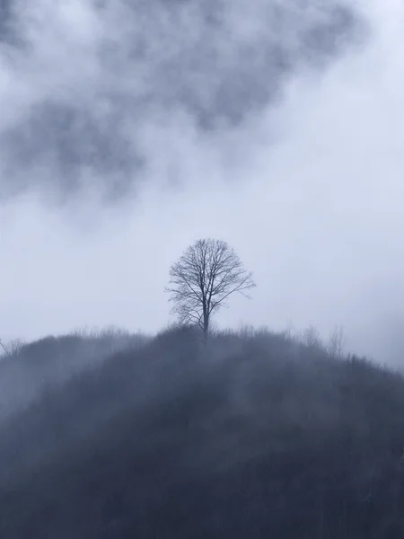 Montañas en una niebla — Foto de Stock