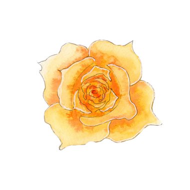 El boyası suluboya sarı gül.