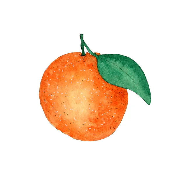 Watercolor fresh and juicy orange illustration. — Stock Photo, Image