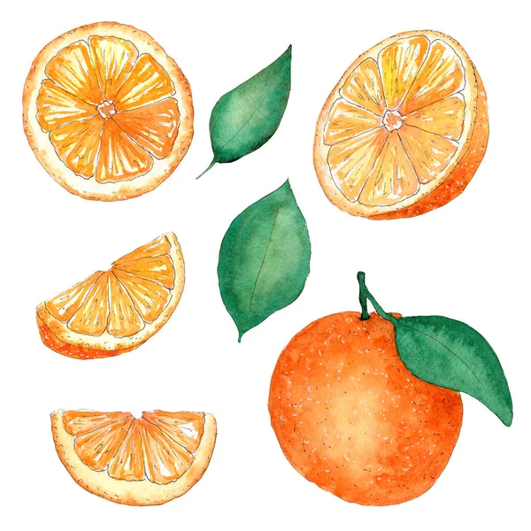 Conjunto de laranjas frescas e suculentas aquarela — Fotografia de Stock