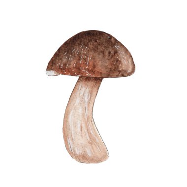 El yapımı suluboya mantar - orman elementi