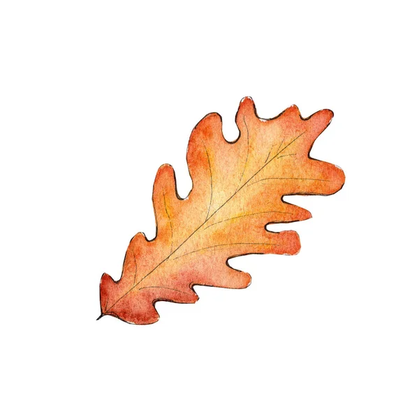 Hand drawn watercolor autumn oak leaf. — Stock Photo, Image