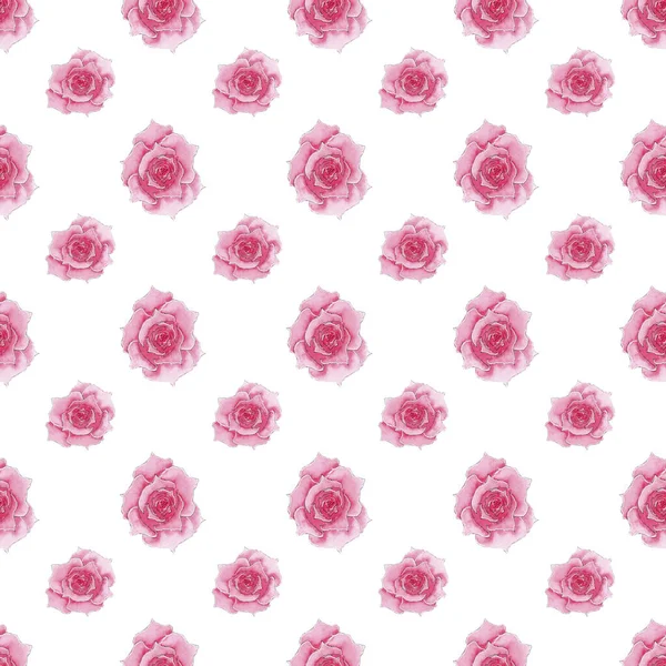 无缝隙水色浅粉色玫瑰花纹 — 图库照片