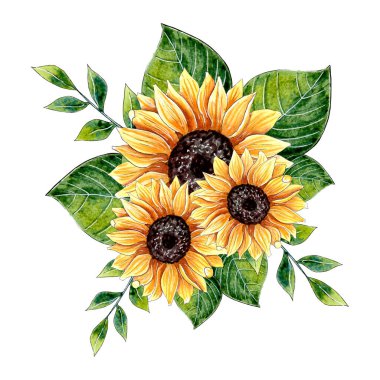 Beyaz arkaplanda izole edilmiş suluboya ayçiçeği buket bileşimi.