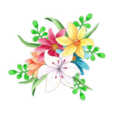 Suluboya Bahar Çiçeği beyaz arkaplanda izole.