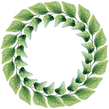 Yeşil yaprak çelengi. Yeşillik çizimi.