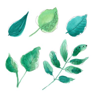 Suluboya biçimli yeşil yapraklar