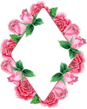 Suluboya pembe gül çiçek çerçevesi.