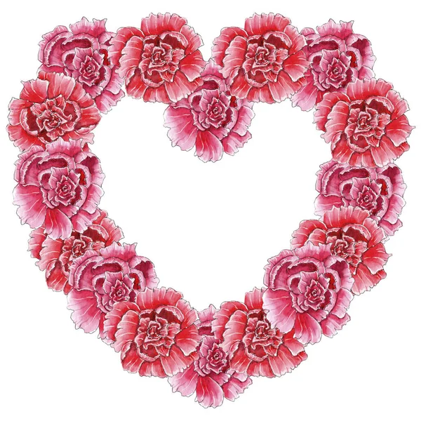 Corona de corazón floral de clavel de acuarela. —  Fotos de Stock