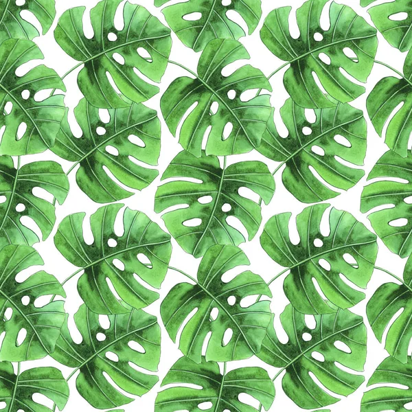 Watercolor seamless pattern with tropical leaves.