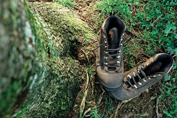 Velhas Botas Caminhada Sujas Lado Uma Árvore Vista Cima — Fotografia de Stock