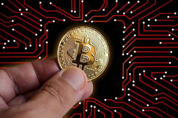 Bilgisayar baskılı devre kartındaki altın parlayan dijital bitcoin izole edildi. Kripto döviz piyasası tanıtımı, haberler, jeton satışları ve engelleme fonu kullanımı için.