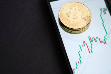Akıllı telefonda gösterilen bitcoin kripto para birimi ve boğa grafiği