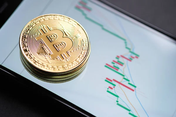 Boğa piyasası eğilimi. Kripto para birimi. Bitcoin Stok Büyümesi. Çizelgeye göre bitcoin fiyatlarında güçlü bir artış var. Sanal varlıklara yatırım yapmak. Grafikleri ve bitcoin parası olan yatırım platformu.