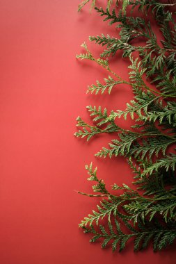 Yeşil dallar kırmızı arka planda, tatil dekorasyonu için uygun olarak düzenlenmiştir. Ekran yeşilliğin çeşitli şekil ve boyutlarını gösterir..