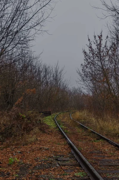 Regenachtige Herfstdag Mist Spoorlijn Gaat Verte — Stockfoto