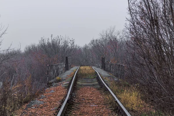 Дощовий Осінній День Туман Залізниця Йде Відстань — стокове фото