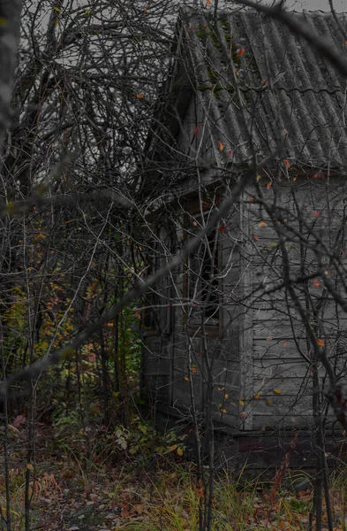 Starý Opuštěný Dům Stojí Mezi Stromy Trávou Smutný Osamělý Zatracený — Stock fotografie