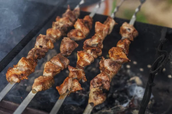 Pedaços Carne Porco Assados Espetos Sobre Carvão Vegetal Braizer — Fotografia de Stock