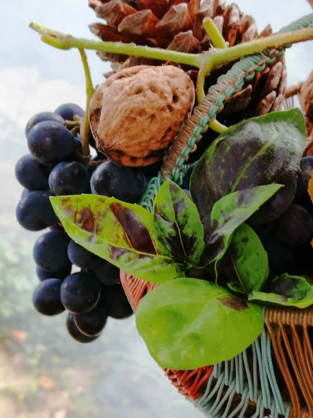  Arka plan, sonbahar seti, üzüm, ceviz, fesleğen yaprağı, alışveriş arabası..